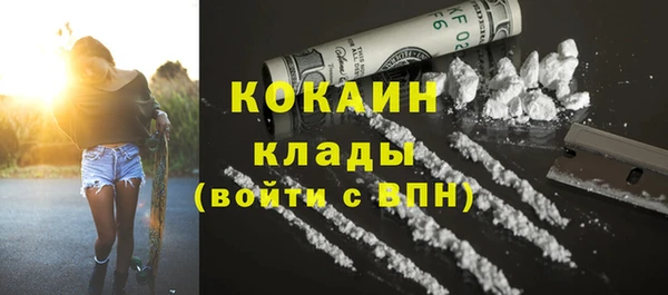 сатива Арсеньев
