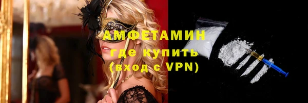 сатива Армянск