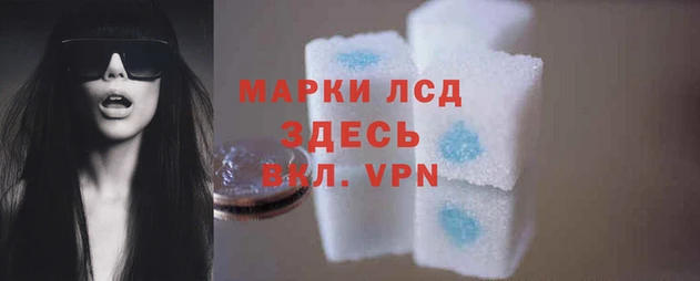 сатива Армянск