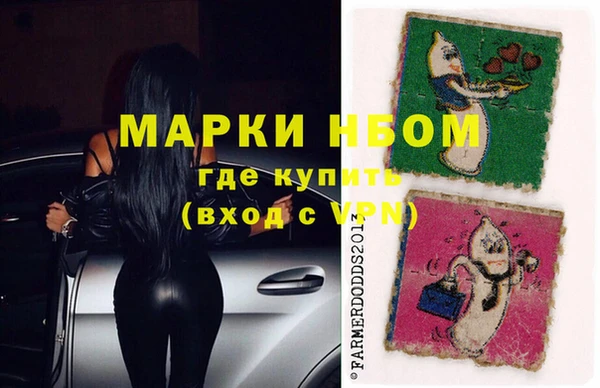 сатива Арсеньев
