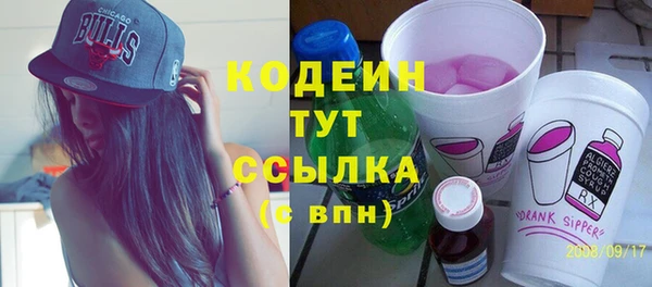 сатива Арсеньев