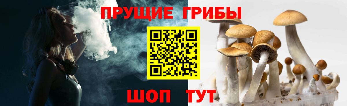 Галлюциногенные грибы Psilocybe  Вход с VPN  Ярцево  Псилоцибиновые грибы Magic Shrooms 
